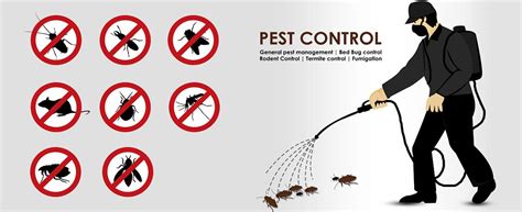 Pest control mambourin  Our pest control Mambourin is capable of rendering high-quality pest control service at an affordable cost